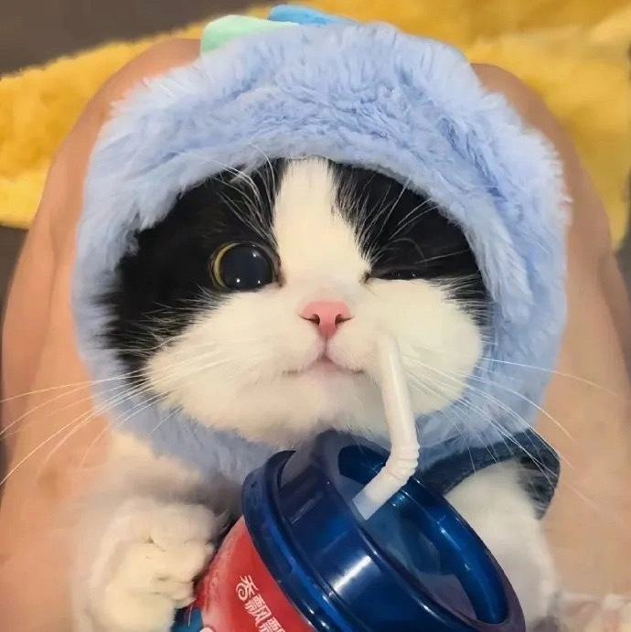 华创网的头像-华创网